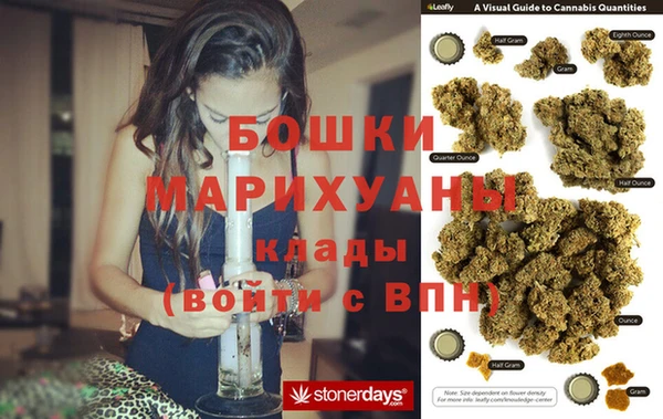 стафф Бронницы