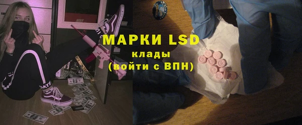 mdpv Бородино