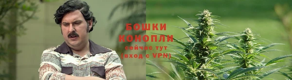 гидропоника Богородск