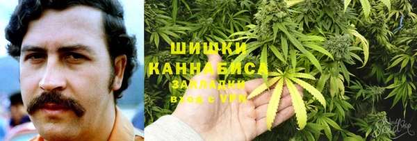 стафф Бронницы