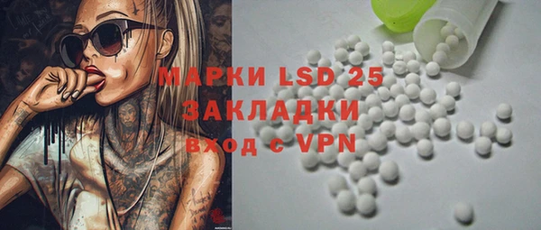 mdpv Бородино