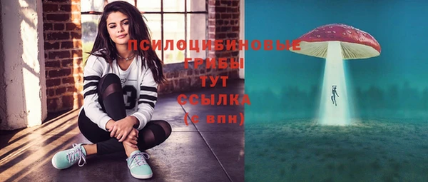 спиды Богданович